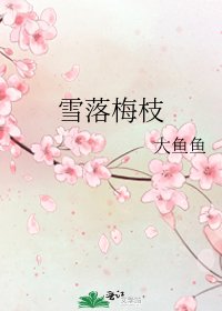 《雪落梅枝》
