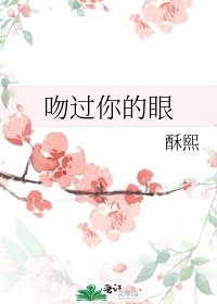 《吻过你的眼》