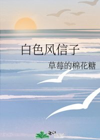 《白色风信子》