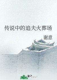 《传说中的追夫火葬场》