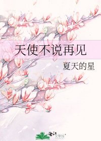 《天使不说再见》