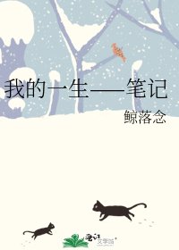 《我的一生——笔记》