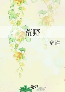 《荒野》