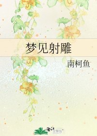 梦见射雕