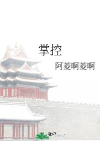 掌控