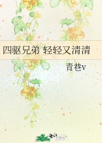 《四驱兄弟 轻轻又清清》