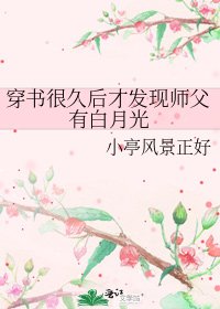 穿书很久后才发现师父有白月光