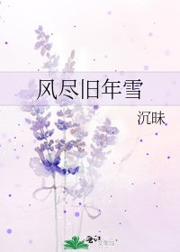 《风尽旧年雪》