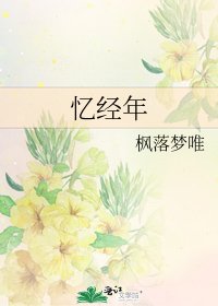 《忆经年》