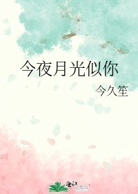《今夜月光似你》