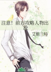 《注意!前方攻略人物出没》