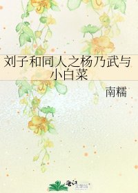 刘子和同人之杨乃武与小白菜