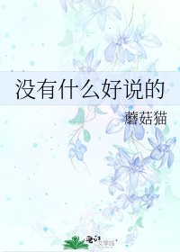 《没有什么好说的》