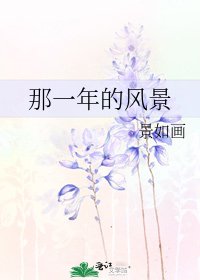 《那一年的风景》