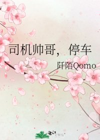 司机帅哥，停车