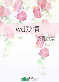 《wd爱情》