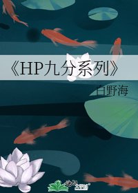 《HP九分系列》