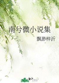 《南兮微集》