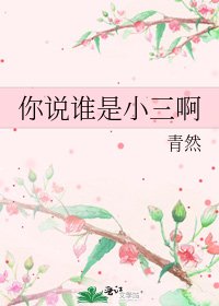 《你说谁是小三啊》