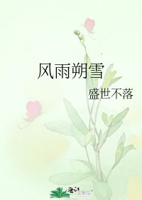 《风雨朔雪》