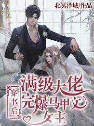 《满级大佬穿书后完爆马甲文女主》