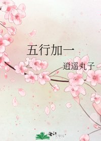 《五行加一》