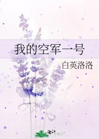 《我的空军一号》