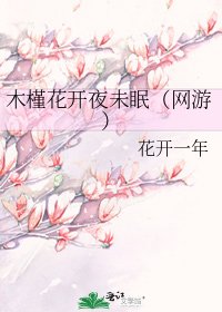 木槿花开夜未眠（网游）