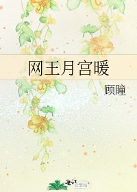 《网王月宫暖》