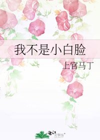 《我不是小白脸》