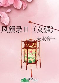 《风颜录Ⅱ(女强)》
