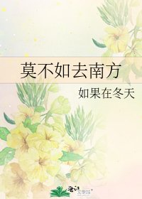 《莫不如去南方》