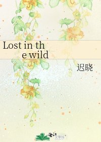 《Lost in the wild》