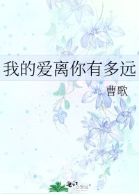 我的爱离你有多远