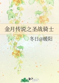 《金月传说之圣战骑士》