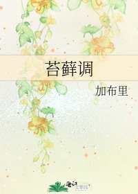 苔藓调