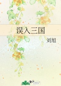 误入三国