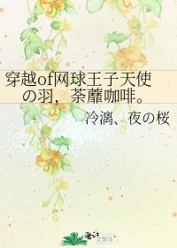 《穿越of网球王子天使の羽,荼蘼咖啡。》