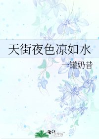 《天街夜色凉如水》