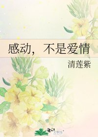 《感动,不是爱情》