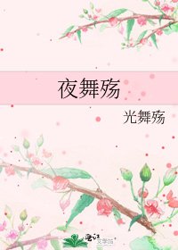 《夜舞殇》