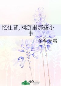 《忆往昔,网游里那些小事》