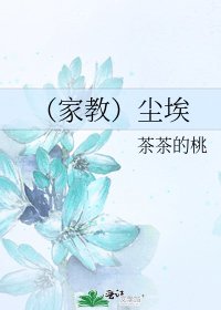 《(家教)尘埃》