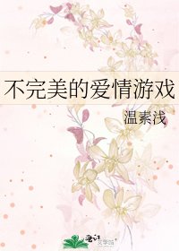 《不完美的爱情游戏》