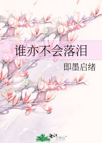 谁亦不会落泪