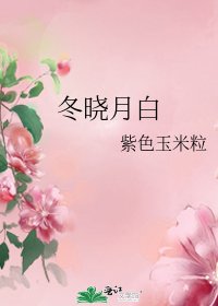 《冬晓月白》