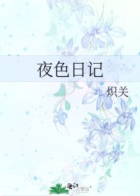 《夜色日记》
