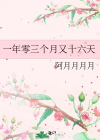 一年零三个月又十六天