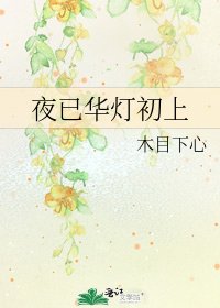 《夜已华灯初上》
