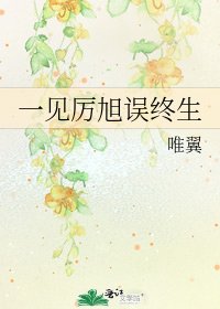 《一见厉旭误终生》